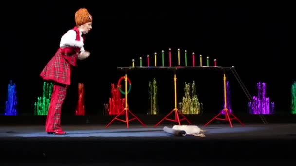 モスクワ ロシア連邦 2014 フェレットの舞い踊る噴水 Akvamarin のサーカスでクリスマス演奏中にステージ上で女性の動物調教師作品 — ストック動画