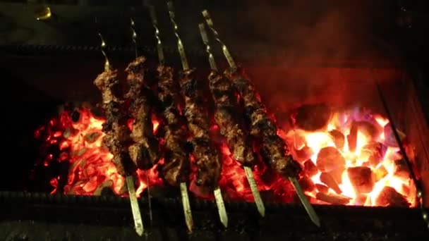 Close Van Gegrild Vlees Brandende Kolen Bij Nacht — Stockvideo