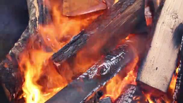 明るい火と薪を冬の屋外のクローズ アップ — ストック動画