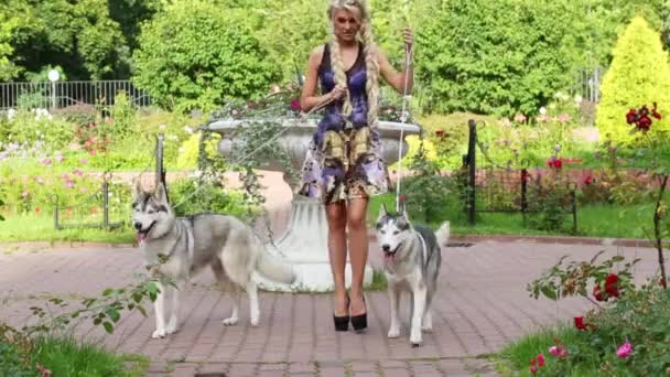 Blond Kvinna Med Två Husky Hund Bly Kommer Från Blomsterrabatt — Stockvideo