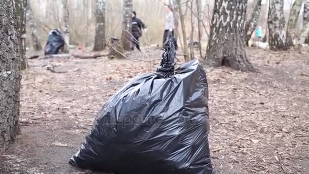 Černý Pytel Odpadky Zem Během Jarní Úklid Území — Stock video