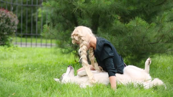 Donna Cane Husky Guardano Poi Cane Nel Parco — Video Stock