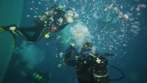 Scuba Δύτες Που Καταδύονται Μεταξύ Πολλές Φυσαλίδες Μεγάλη Πισίνα — Αρχείο Βίντεο