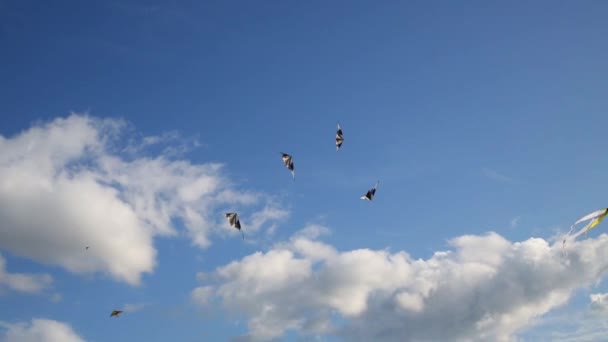 Grupo Acrobacias Cometas Deportivas Viento Cielo Azul Con Nubes — Vídeos de Stock