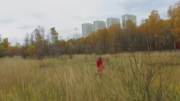 Donna Cammina Tra Erba Parco Nazionale Isola Alce Non Lontano — Video Stock