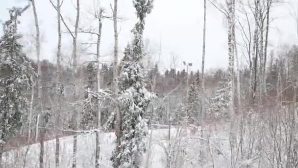 Bewegende kabelbaan onder bomen bos in de winter — Stockvideo