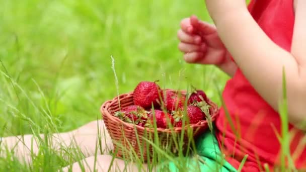 Eller Çimenlerin Üzerinde Oturan Parkta Topladıklarıçilekleri Küçük Çocuk — Stok video