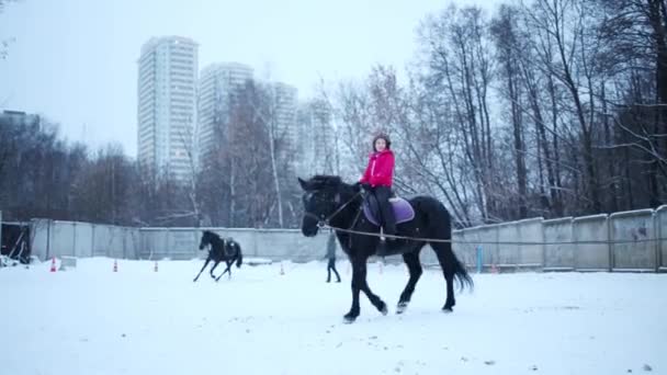 Menina Monta Cavalo Preto Trela Durante Queda Neve Dia Inverno — Vídeo de Stock