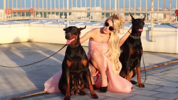 Jolie Jeune Femme Pose Avec Deux Chiens Toit Grand Bâtiment — Video