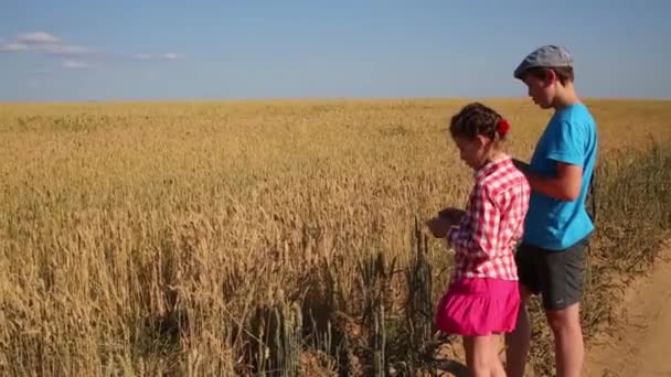 Menino Menina Ficam Perto Campo Trigo Amarelo Dia Verão — Vídeo de Stock