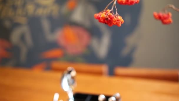 Декоративные Красные Сухие Ягоды Крупный План Shallow Dof — стоковое видео