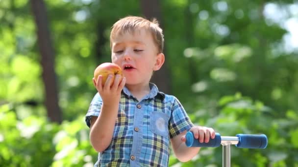 Liten Stilig Pojke Äter Apple Nära Skoter Sommaren Park — Stockvideo