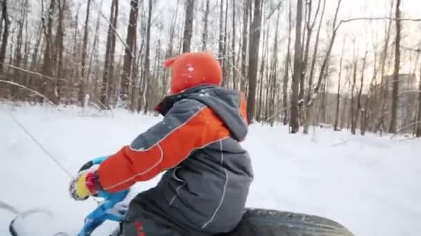 Junge Zog Wintertag Schlitten Durch Wald — Stockvideo