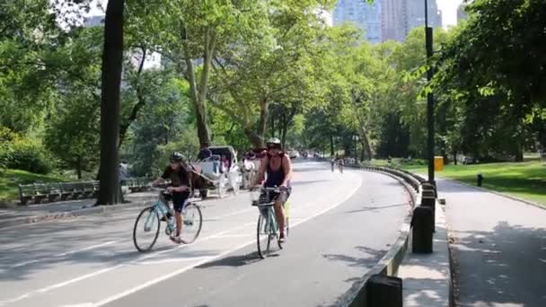 2014年8月21日 人们乘坐自行车和马车在纽约中央公园 — 图库视频影像