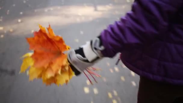 干枫叶在她的手一个女人谁骑轮滑鞋 — 图库视频影像