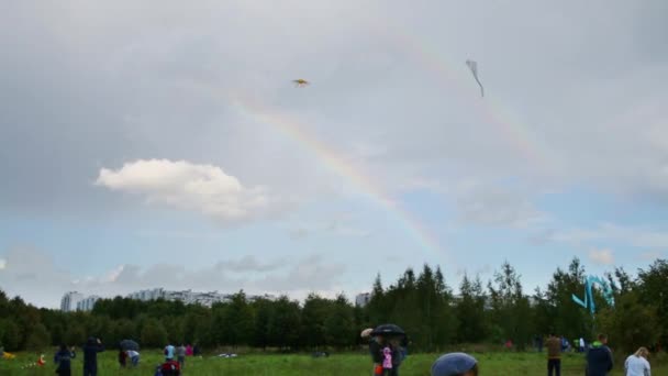 Två Regnbågar Flygande Drakar Och Personer Ängen Sommaren — Stockvideo