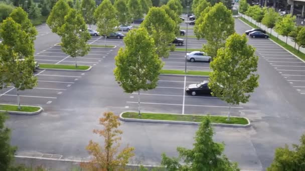 Estacionamento Com Árvores Verdes Poucos Veículos Dia Outono — Vídeo de Stock