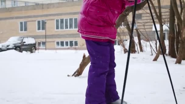 在下雪时 孩子的腿在粉红色滑雪在树附近与鸟饲养机 — 图库视频影像