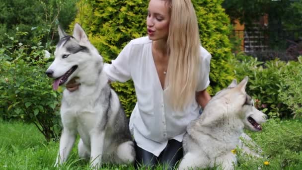 Mulher Loira Nova Com Dois Cães Husky Grama Parque — Vídeo de Stock