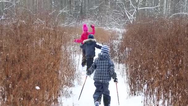 Tres Niños Esquís Campo Dirección Bosque Día Invierno — Vídeos de Stock