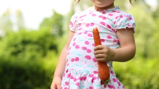 Vista Vicino Della Carota Mano Della Bambina Nel Parco — Video Stock