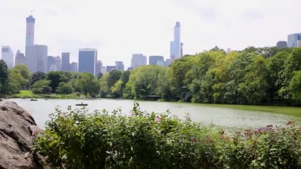 纽约中央公园池塘的小船在夏天 — 图库视频影像