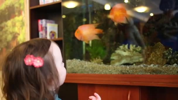 Schattig Klein Meisje Kijkt Naar Vissen Aquarium Kamer — Stockvideo