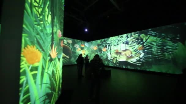 Moskou Feb 2015 Henri Rousseau Grote Modernisten Multimedia Tentoonstelling Artplay — Stockvideo