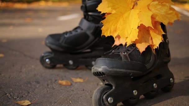 Benen Van Een Vrouw Rolschaatsen Met Droge Esdoorn Bladeren — Stockvideo