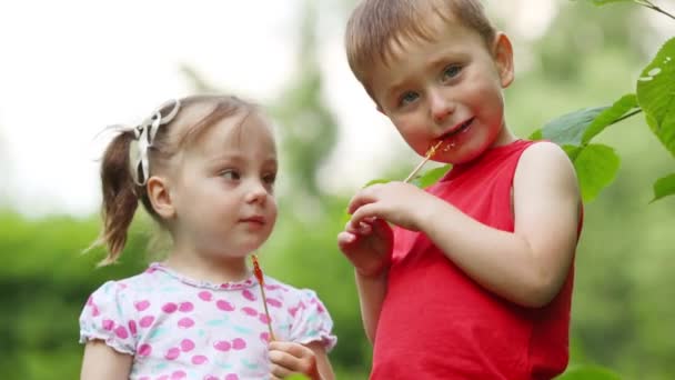 小俏丽的女孩和男孩舔棒糖在夏天公园 — 图库视频影像