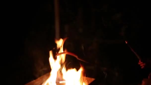 烘烤和热扑克在晚上的孩子手中的火 — 图库视频影像