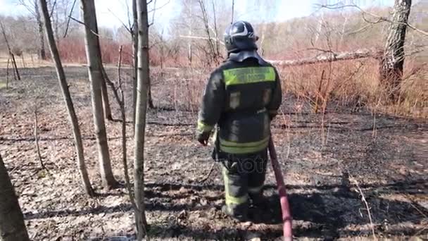 Hasič Uniformě Uhasit Lesní Požáry Text Zadní Hasiči Ruské Ministerstvo — Stock video