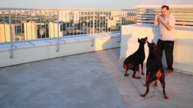 Adam oyuncak uzun boylu binanın çatı üzerinde tarafından iki Dobermans alay