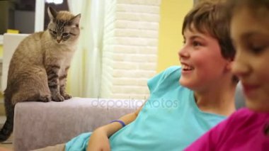 Kedi erkek ve kız ile koltuk kol dayama oturuyor