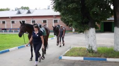 Moskova - 6 Ağustos 2015: Kadın kurşun at istikrarlı at filosu Sokolniki park devriye polis