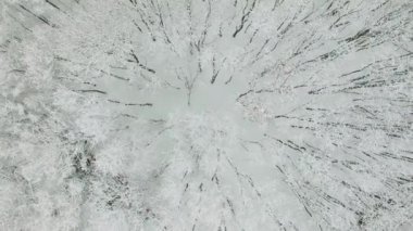 Karla kaplı ağaçlar Park Elk adada kış günü. Havadan görünümü