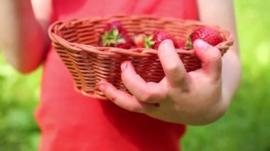 Çilek çocuk elinde sepetle görünümünü kapat