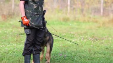 Köpek havlar ve bacakları lastik Çizmeli sahibinin yakınındaki çimenlerin üzerinde atlar