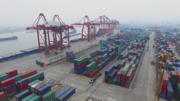 Shanghai Nov 2015 Terminal Conteneurs Zhanghuabang Avec Nombreuses Grues Hautes — Video