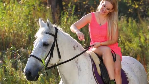 女性短いピンクのドレスに座っている横に白い馬とストローク — ストック動画
