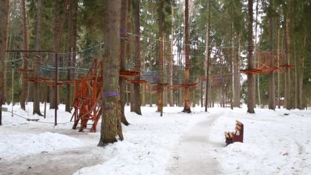 Parc Singes Avec Sentier Corde Sophistiqué Dans Forêt Hiver — Video