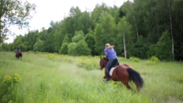 Zwei Reiter Auf Pferden Rasen Park Baum Entlang — Stockvideo