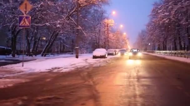 Weg Met Auto Steegjes Winter Park Met Besneeuwde Bomen Bij — Stockvideo