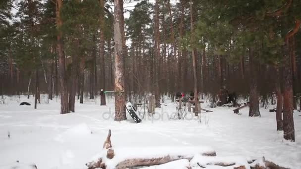 Närmar Sig Till Utomhus Sport Camp Snörik Vinter Trä — Stockvideo