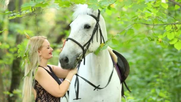 Γυναίκα Στη Φύση Άσπρα Μαλλιά Αγκαλιάζει Κεφάλι Του Άσπρο Άλογο — Αρχείο Βίντεο