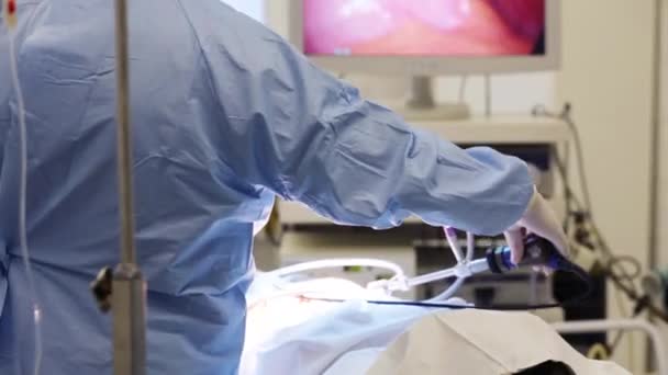 Doctor Holds Endoscopic Inspection Internal Organs — Stock Video