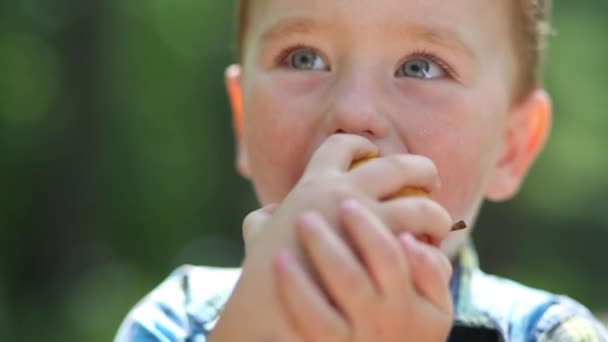 Nahaufnahme Porträt Eines Kleinen Jungen Beim Apfelessen Sommerpark — Stockvideo