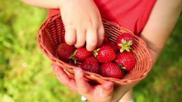 Καλάθι Φράουλες Στα Χέρια Παιδί Χέρι Παίρνει Μούρο — Αρχείο Βίντεο
