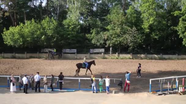 馬の訓練 馬に乗って人々 のためにパドック — ストック動画