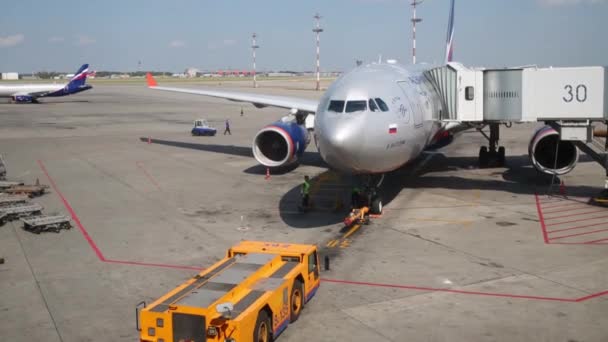 Moscú Rusia Ago 2014 Personal Del Aeropuerto Sheremetyevo Inspecciona Aeronave — Vídeo de stock